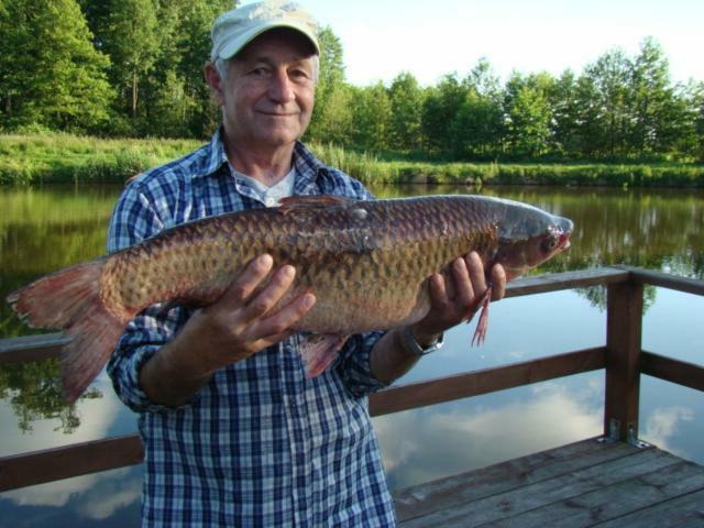 Pensjonat Dworek Baranowka Goniadz Kültér fotó